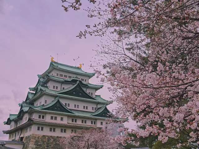 没学过日语可以去日本留学吗