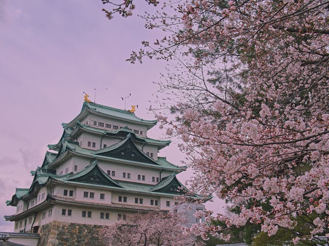 初中毕业能去日本留学吗