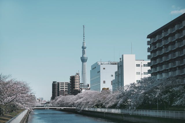 日本美术学院有哪些