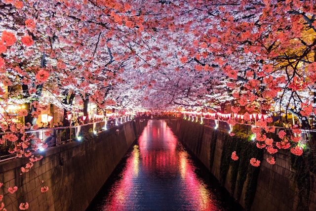 日本美术留学好考吗