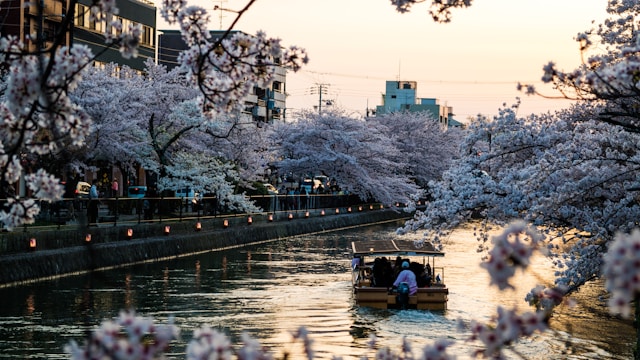 日本留学前景怎么样