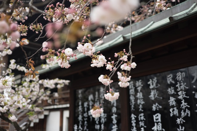 日本高中留学申请条件及步骤是什么