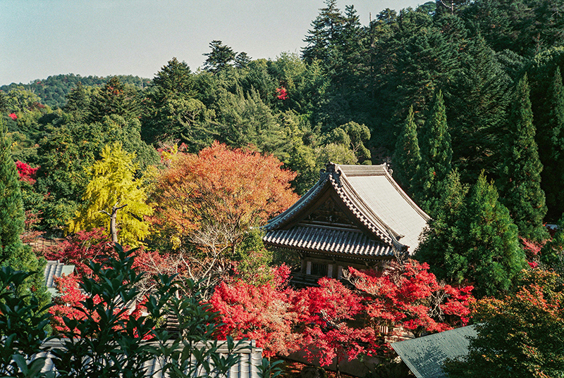 日本留学读研究生都有哪些申请途径