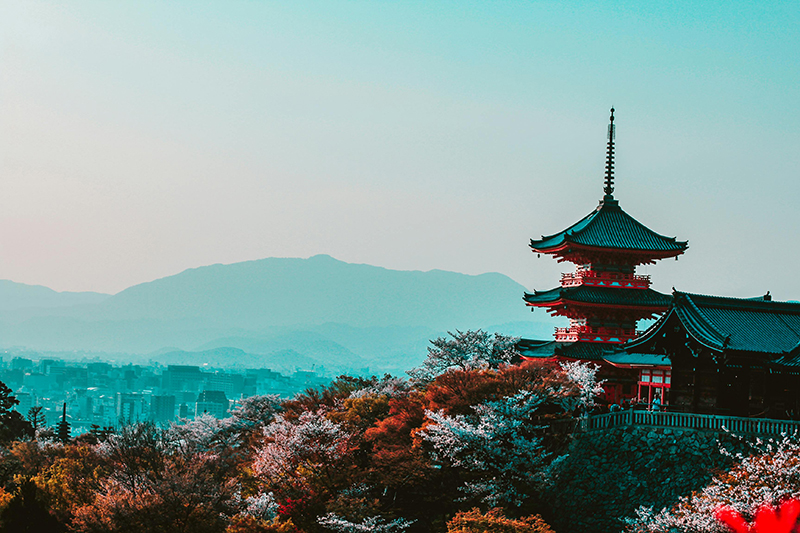 日本留学的申请步骤有哪些
