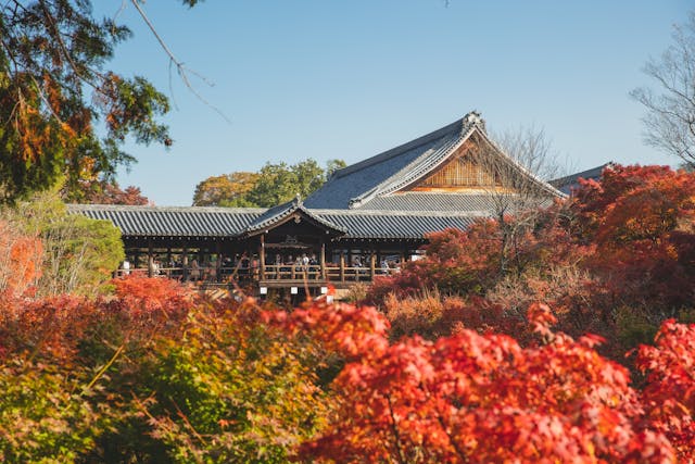 日本留学选择哪些专业比较好