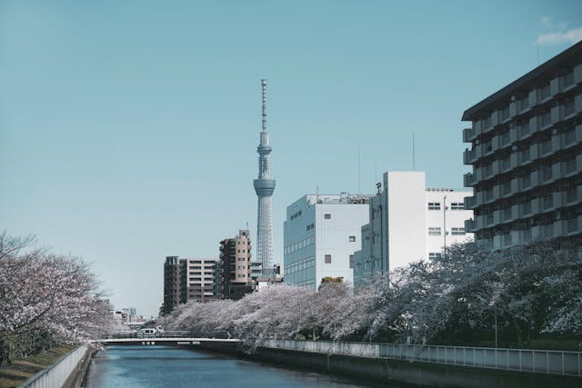 留学日本修士与研究生的区别是什么