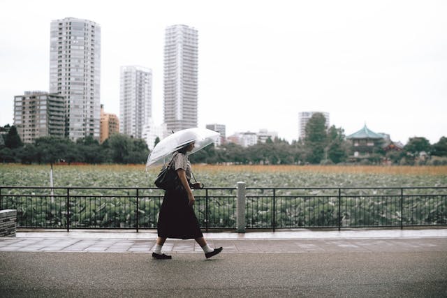 留学日本东京地区有哪些好大学