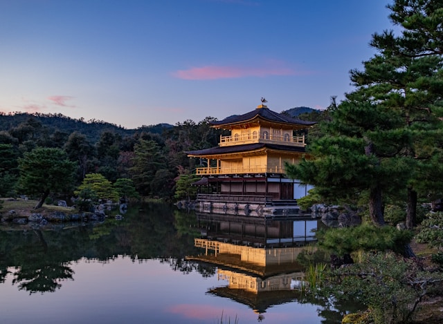 留学日本回国好就业的专业有哪些