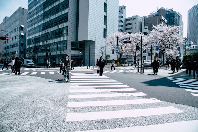 留学日本有哪些前景不错的专业