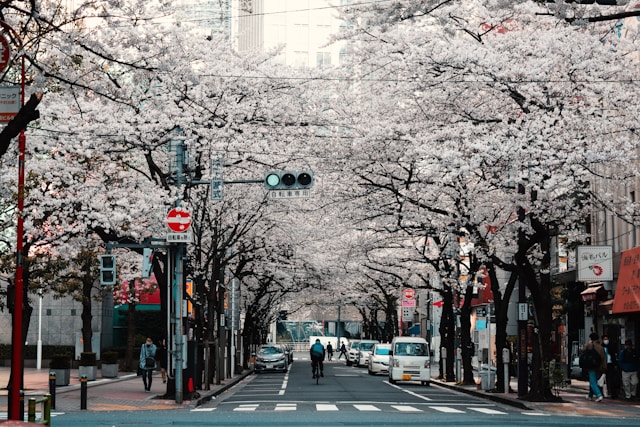 留学日本大概生活费用要多少
