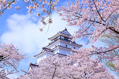 苏州日本留学